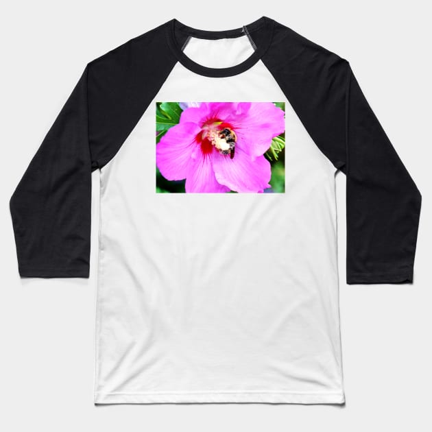 Bumble Bee Pollinating Pink Flower Baseball T-Shirt by 1Redbublppasswo